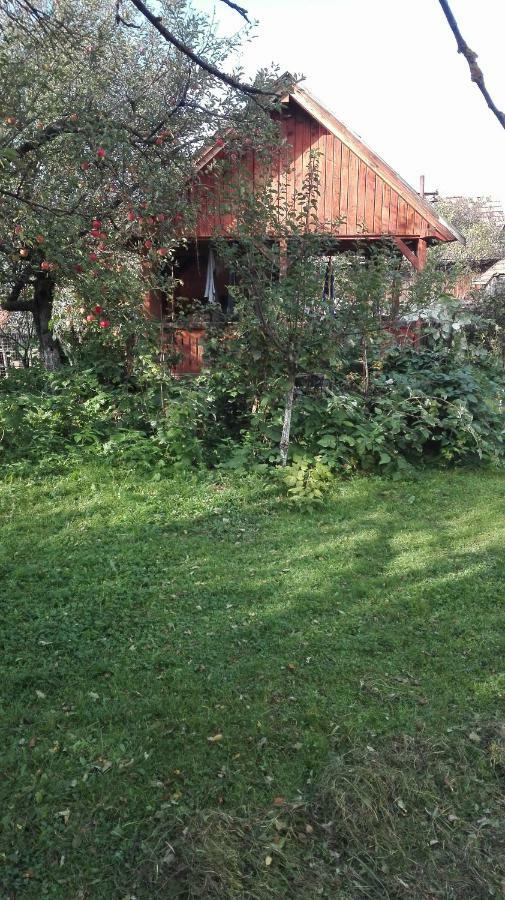 Casa Traditionala Subcetate Subcetate  Exterior photo